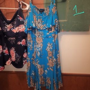 Ladies plus size dress